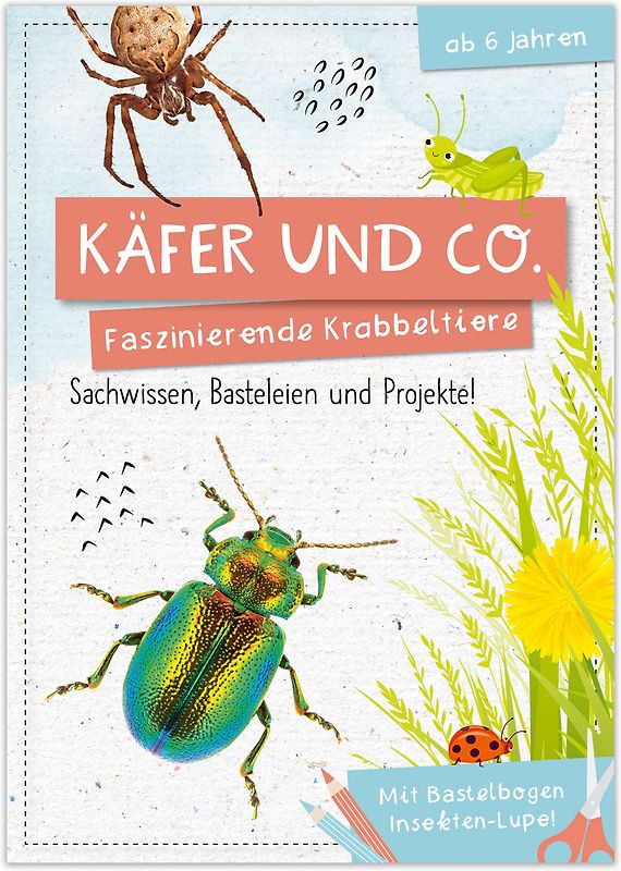 Activity Heft: Käfer und Co.