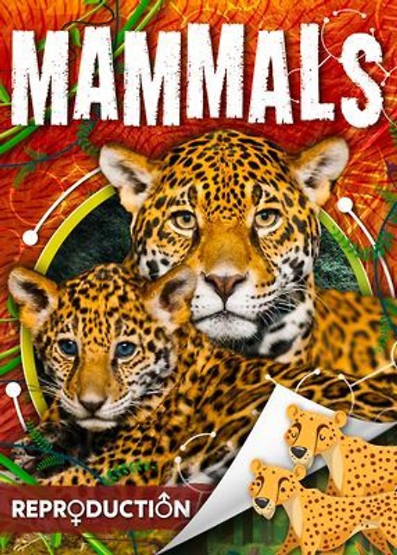 Mammals