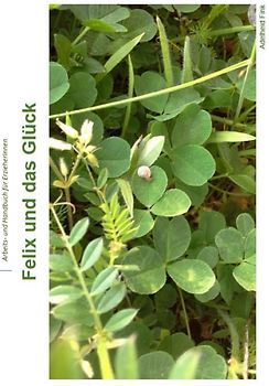 Hand- und Arbeitsbuch für Erzieher / Felix und das Glück