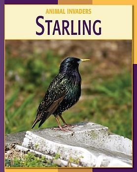 Starling