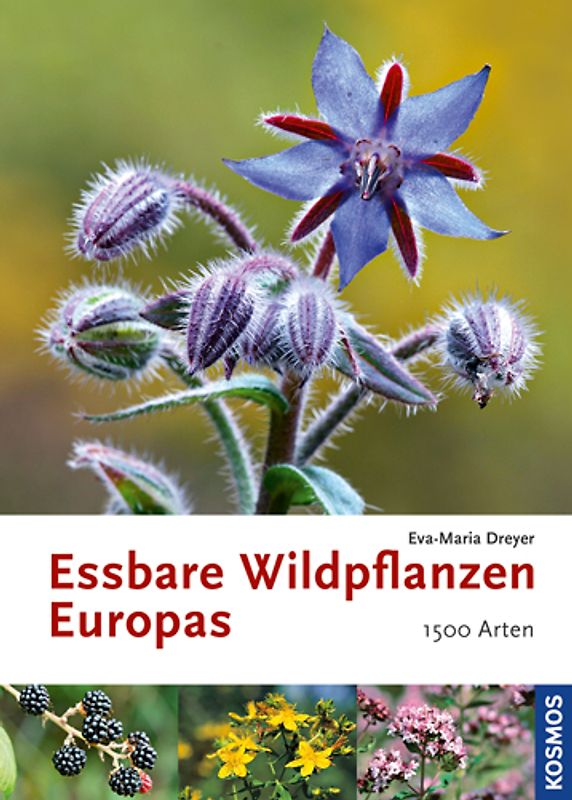 Essbare Wildpflanzen Europas