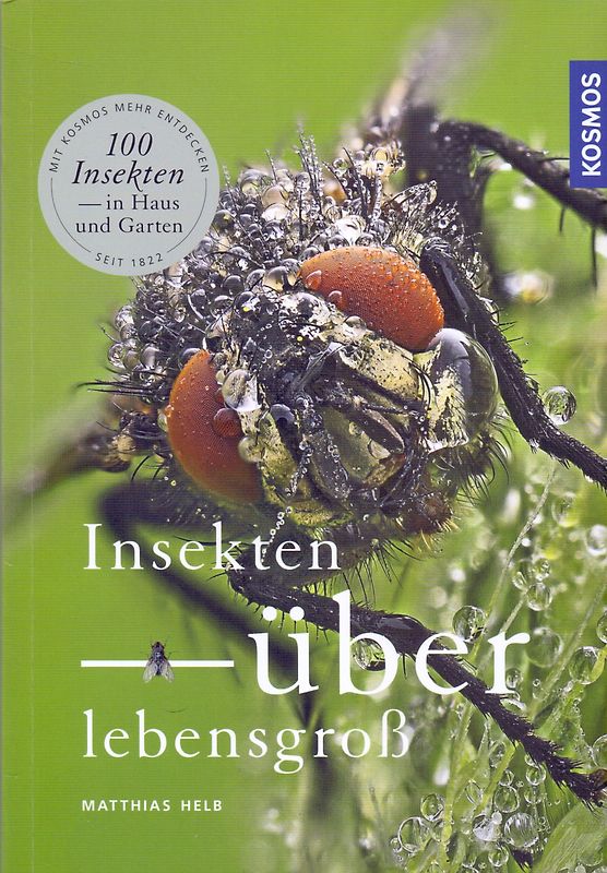 Insekten überlebensgroß