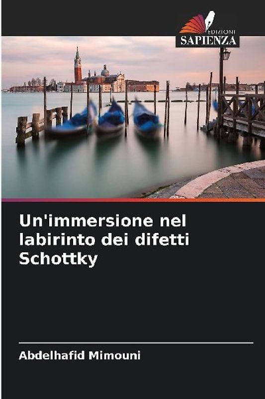Un'immersione nel labirinto dei difetti Schottky