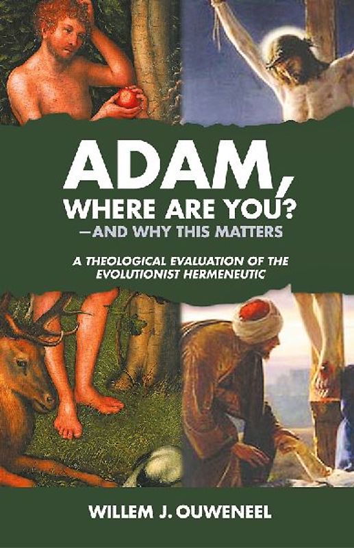 Adam, Where Are You?