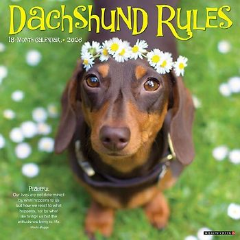 Dachshund Rules 2026 12 X 12 Wall Calendar