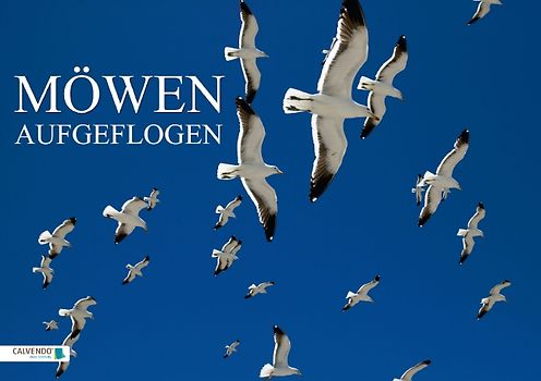 Möwen – Aufgeflogen (Tischaufsteller DIN A5 quer)