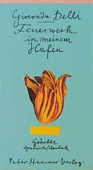 Feuerwerk in meinem Hafen