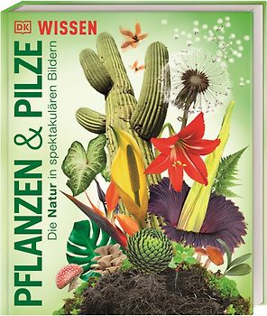DK Wissen. Pflanzen und Pilze