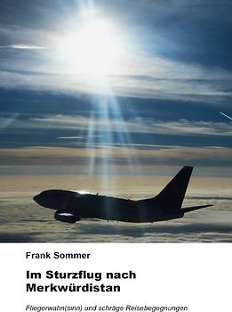 Im Sturzflug nach Merkwürdistan