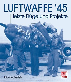 Luftwaffe '45