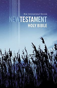 NIV, Outreach New Testament, Paperback: New International Version, Outreach New Testament