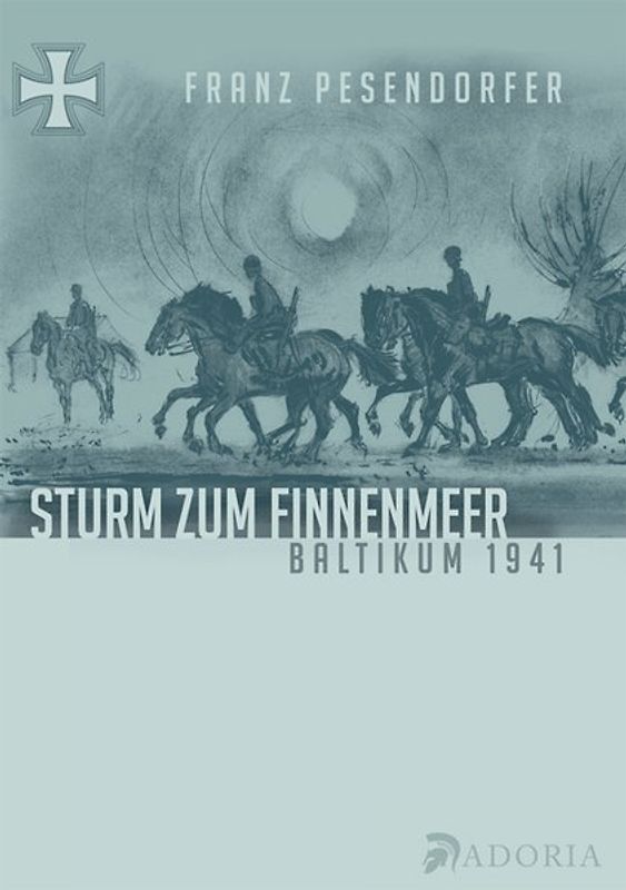 Sturm zum Finnenmeer