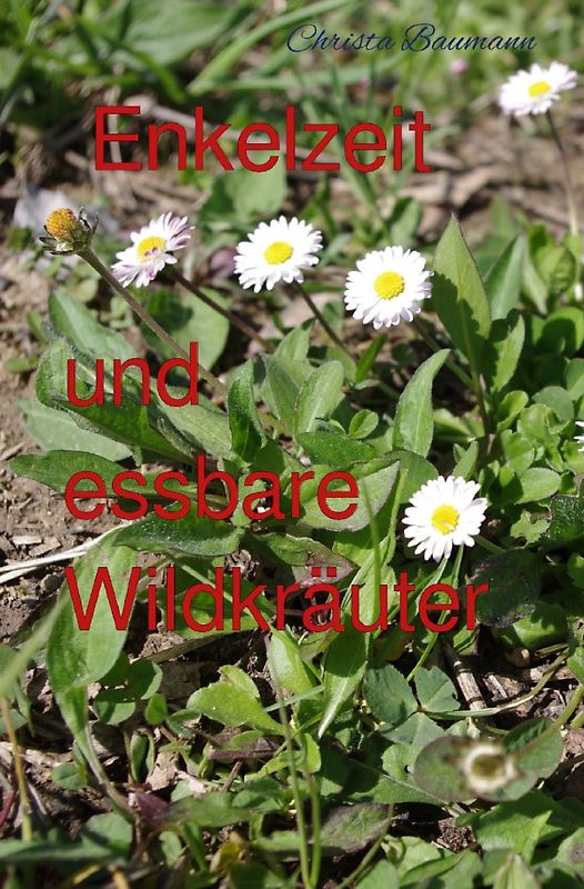 Mit den Enkeln durchs Jahr / Enkelzeit und essbare Wildkräuter