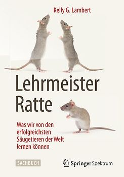 Lehrmeister Ratte