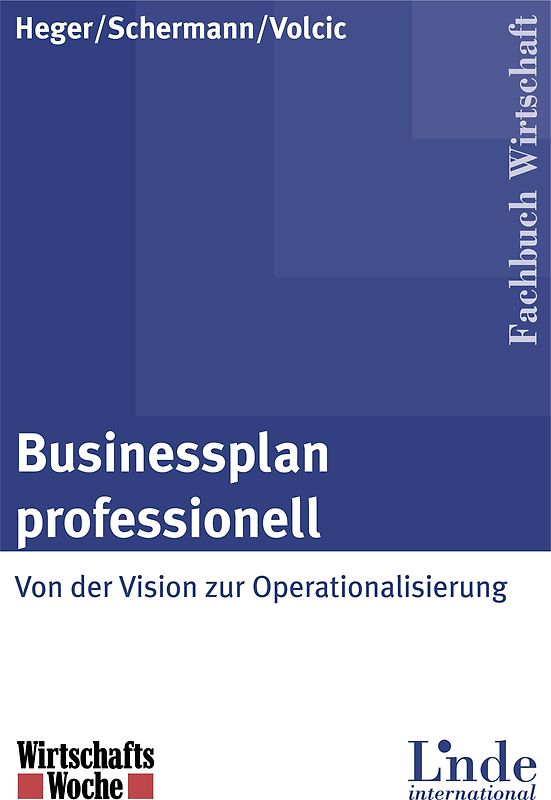 Businessplan professionell