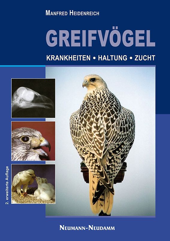 Greifvögel