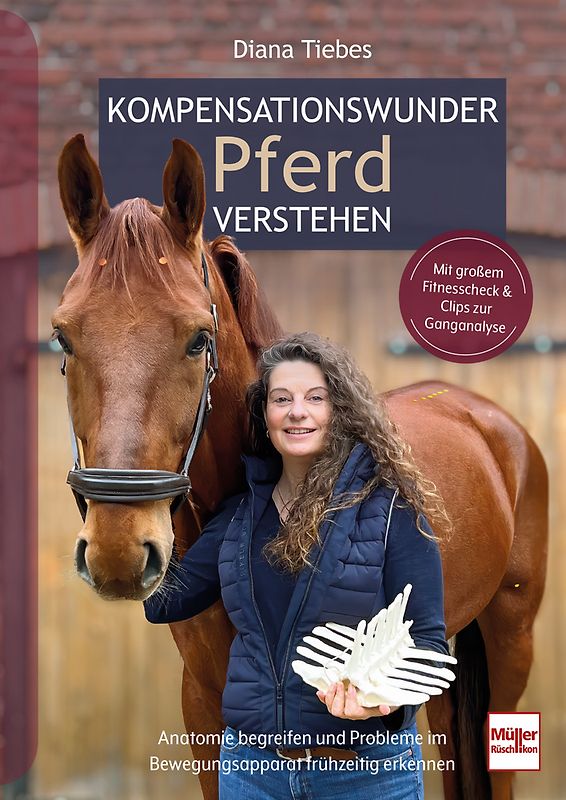 Kompensationswunder Pferd verstehen