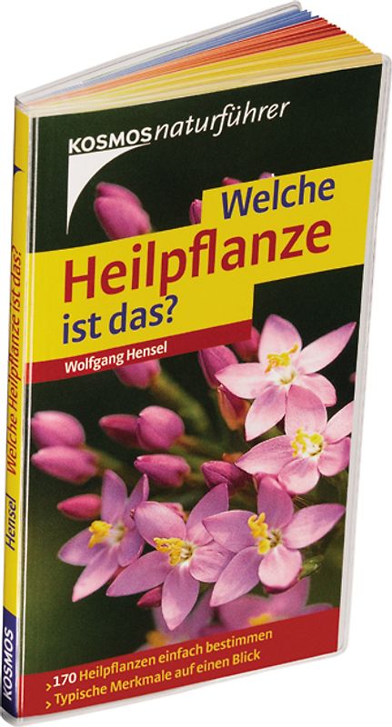 Welche Heilpflanze ist das?