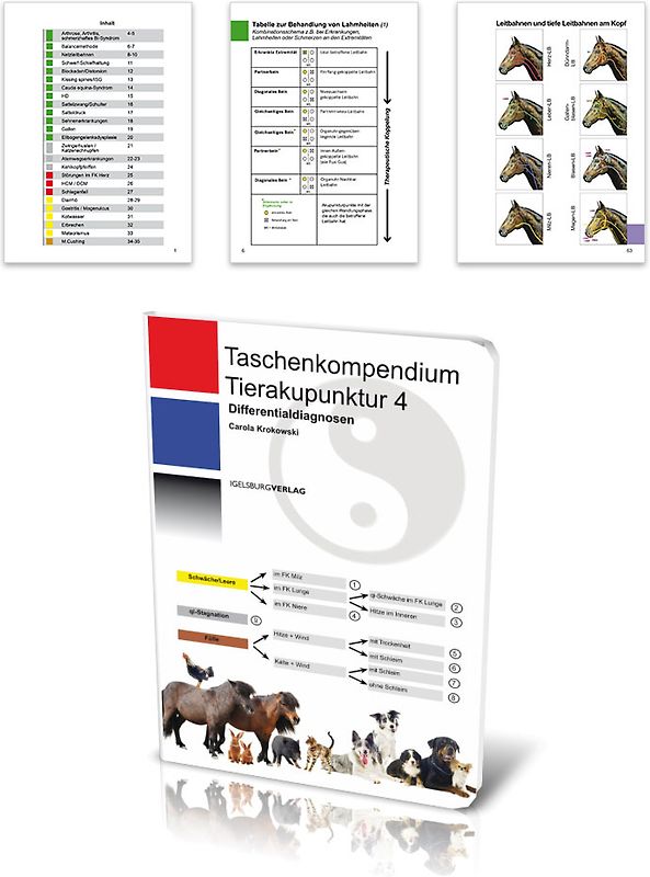 Taschenkompendium Tierakupunktur 4
