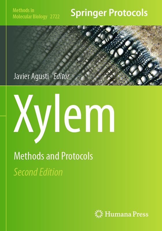 Xylem