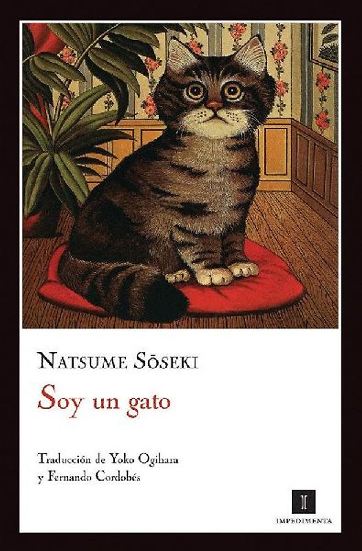 Soy un gato