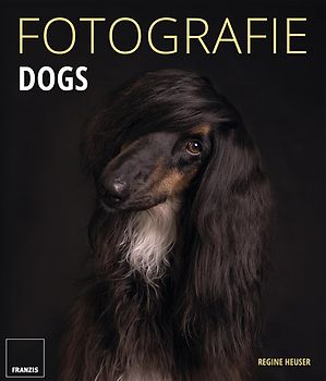 FOTOGRAFIE DOGS