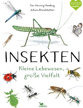 Insekten - Kleine Lebewesen, große Vielfalt