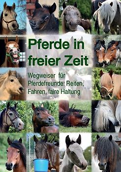 Pferde in freier Zeit
