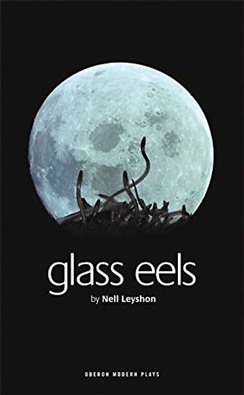 Glass Eels (Oberon Modern Plays)