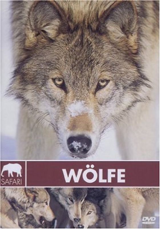 Safari: Wölfe DVD