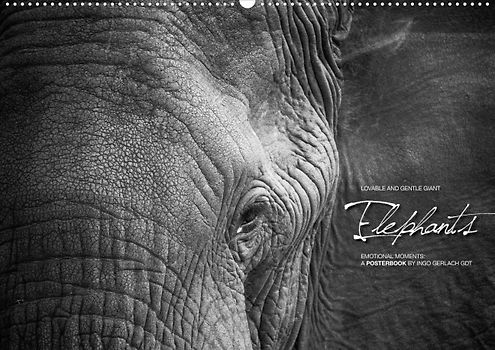 Emotional Moments: Elephants UK Version (Poster Book DIN A3 Landscape)