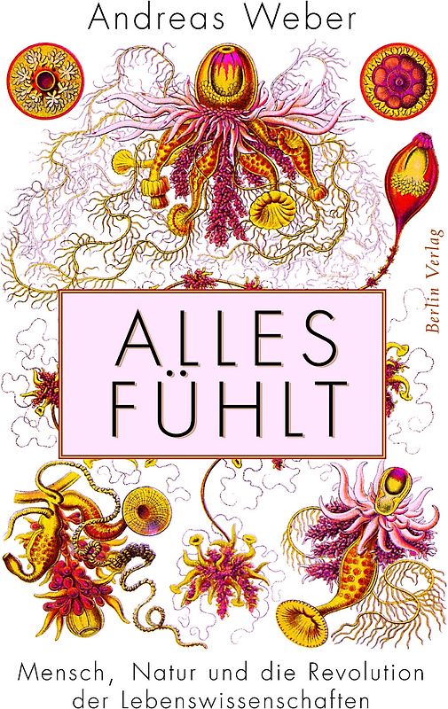 Alles fühlt