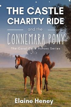 The Castle Charity Ride and the Connemara Pony - The Coral Cove Horses Series (Coral Cove Horse Adventures for Girls and Boys, Band 4)