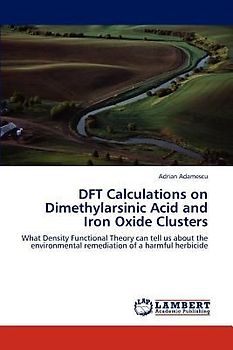 DFT Calculations on Dimethylarsinic Acid and Iron Oxide Clusters