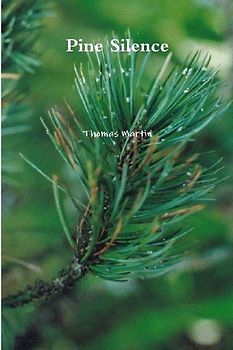 Pine Silence