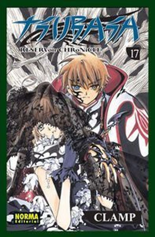Tsubasa reservoir chronicle 17