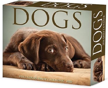 Dogs 2026 5.4 X 6.2 Box Calendar