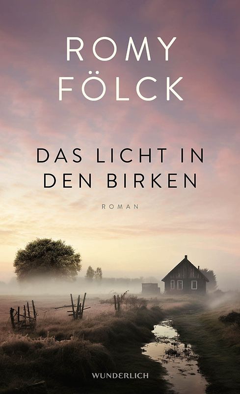 Das Licht in den Birken