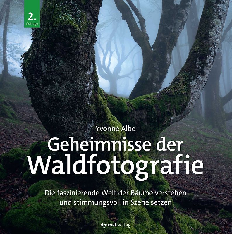 Geheimnisse der Waldfotografie