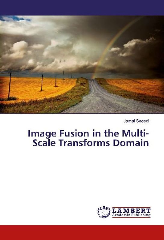 Image Fusion in the Multi-Scale Transforms Domain