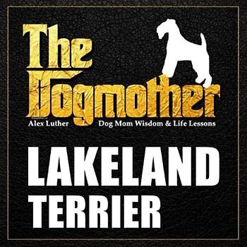 The Dogmother: Lakeland Terrier: (Dog Mom Wisdom & Life Lessons)