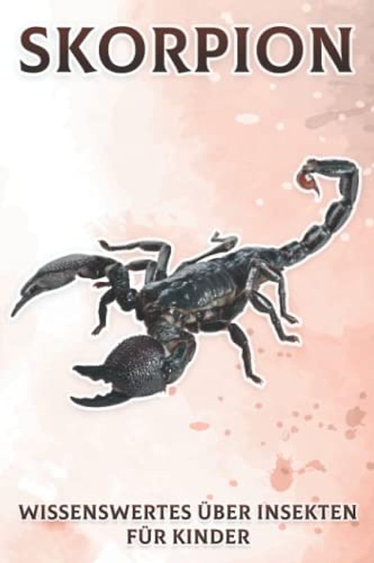 Skorpion: Wissenswertes über Insekten für Kinder #11