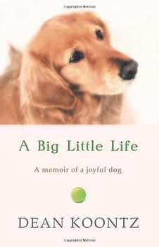Big Little Life - Koontz, Dean