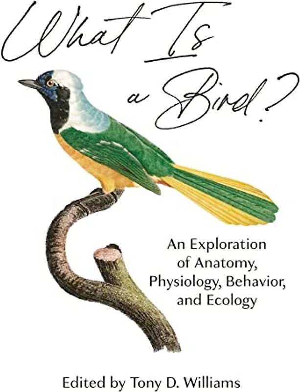 What is a Bird?: An Exploration of Anatomy, Physiology, Behavior, and Ecology