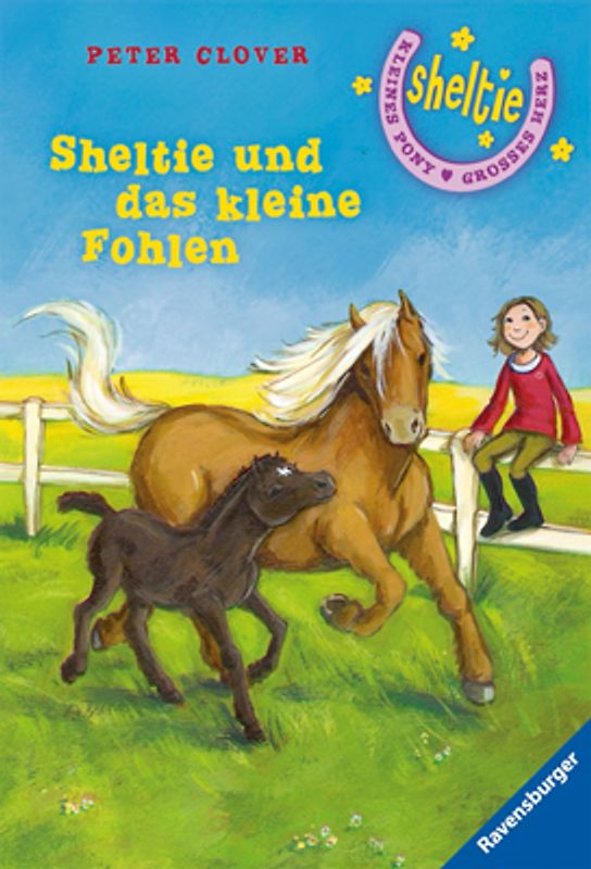 Sheltie und das kleine Fohlen