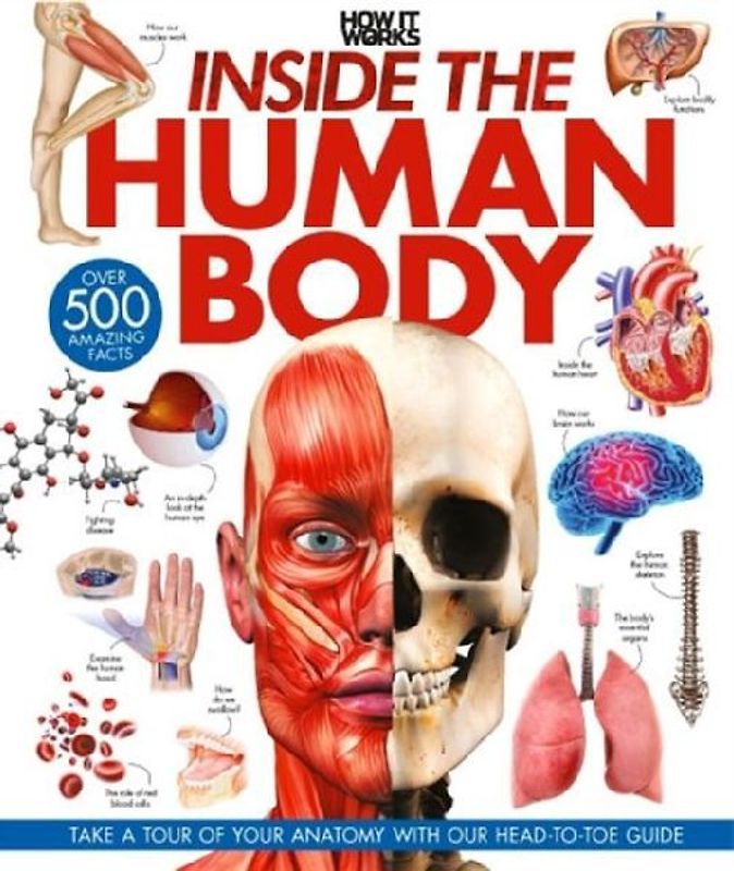 Inside the Human Body