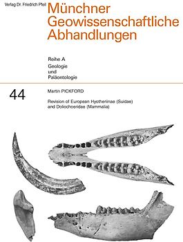 Revision of European Hyotheriinae (Suidae) and Doliochoeridae (Mammalia)