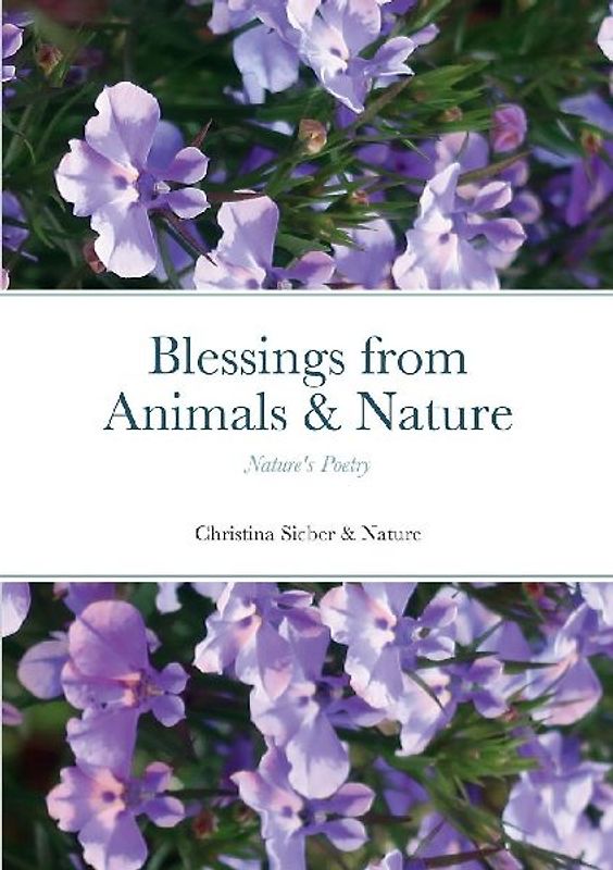 Blessings from Animals & Nature