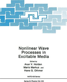 Nonlinear Wave Processes in Excitable Media