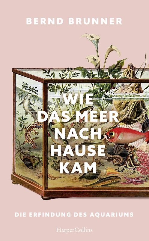 Wie das Meer nach Hause kam. Die Erfindung des Aquariums